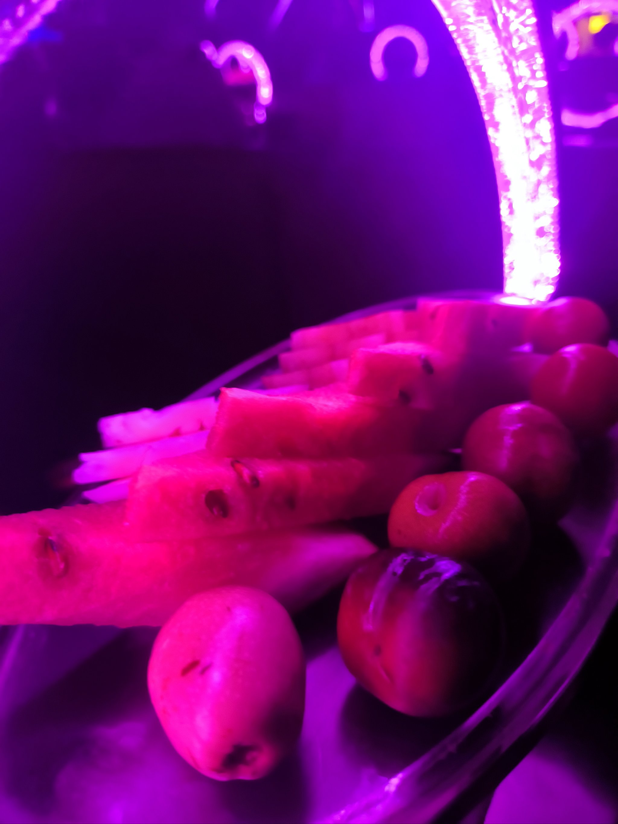 长春商务ktv好吗值得选择吗-九台区ktv预定